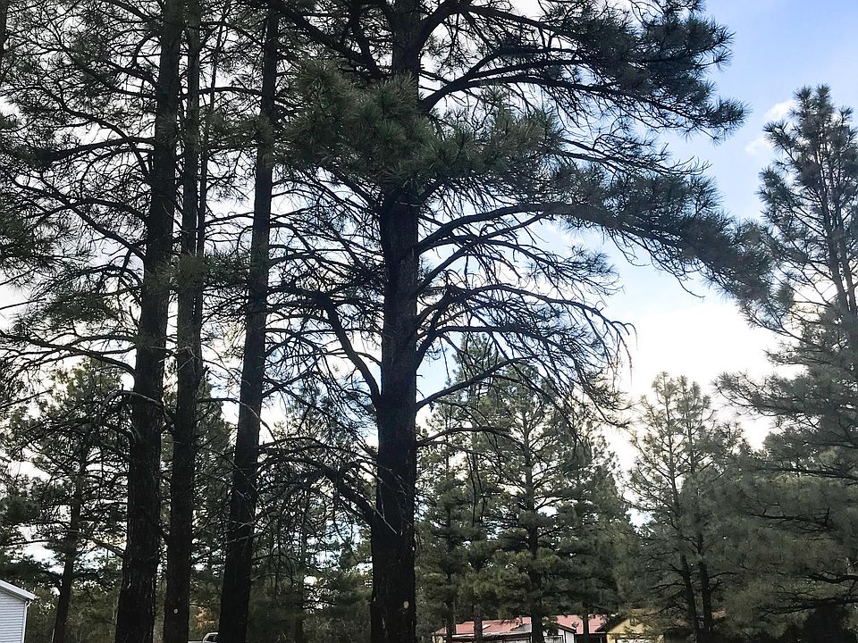 2nd image of 2430 W Sylvester Dr