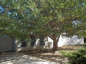 4th image of 1221 Avenue J