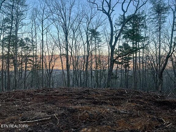 5th image of Old Spencer Rd