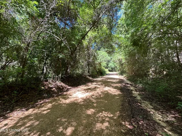 0 Frazier Ln, Sandy Hook, MS 39478