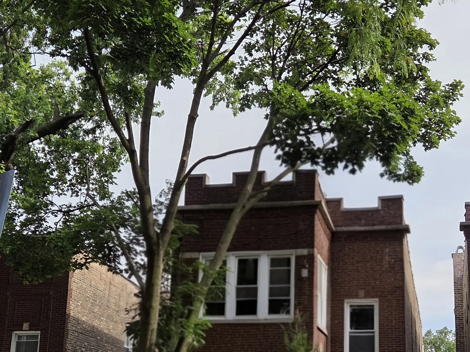 3 bed, 1178 sqft, $2,000 — Photo 1