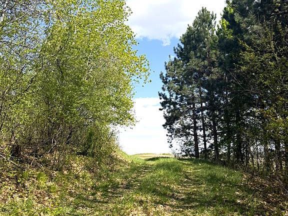 4th image of 125 acres Steig Coulee Road