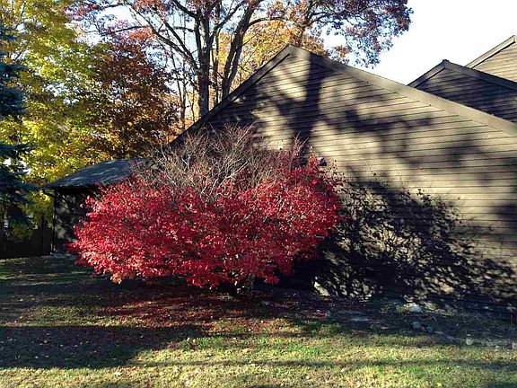 3rd image of 29 Brenden Ct