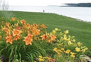 Beautiful Landscaping
