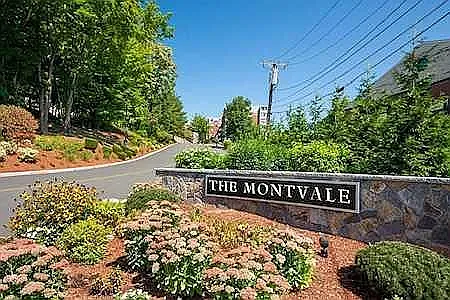 1 bed, 723 sqft, $2,500 — Photo 2