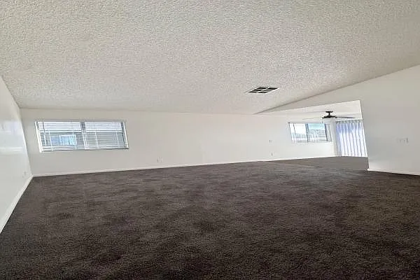 Spring Creek Apartments — Photo 6