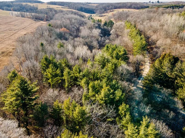 Lt0 HAVLIK ROAD, Wonewoc, WI 53968