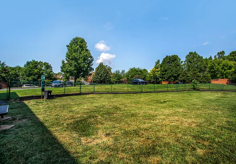 4301 Olive St #209 — Photo 42