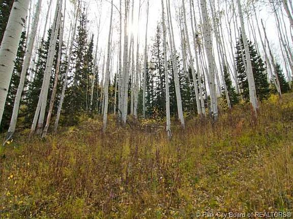 5th image of 171 White Pine Canyon Rd #171