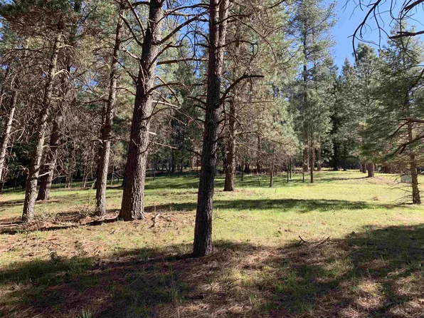 Rustlers Roost, Cloudcroft, NM 88317