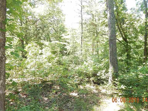 4th image of 110 Dogwood Pl