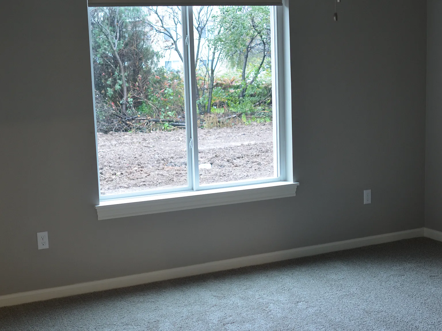 2 bed, 1159 sqft, $1,300 — Photo 4