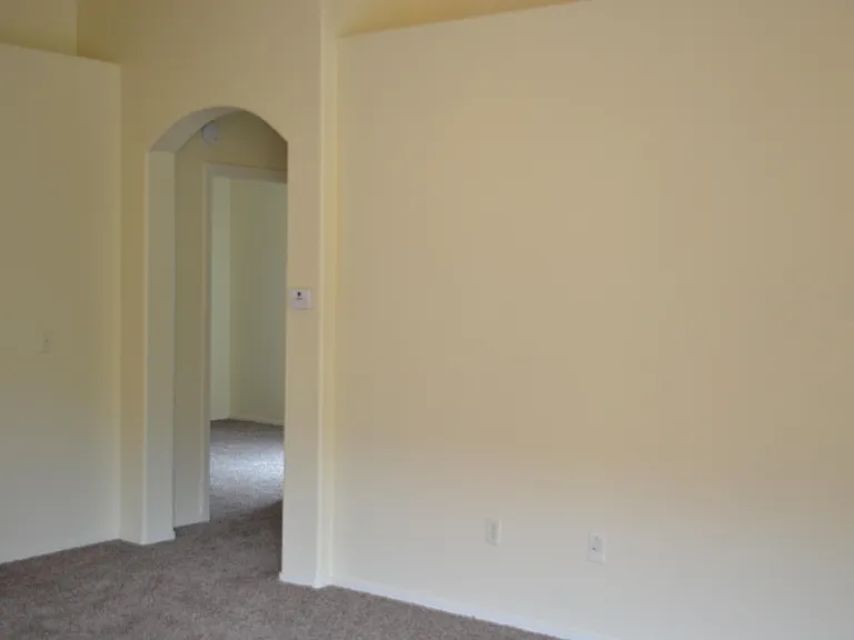 2446 E Calle Pelicano — Photo 4