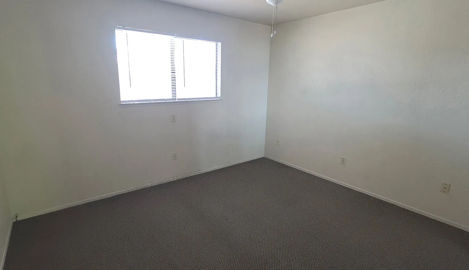 1 bed, $950 — Photo 3