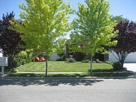 4th image of 1353 W Stern Dr