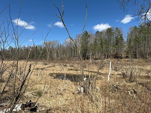 3rd image of 7 Yellow Birch Ln