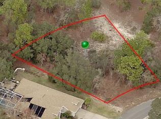 30 Black Willow St, Homosassa, FL 34446