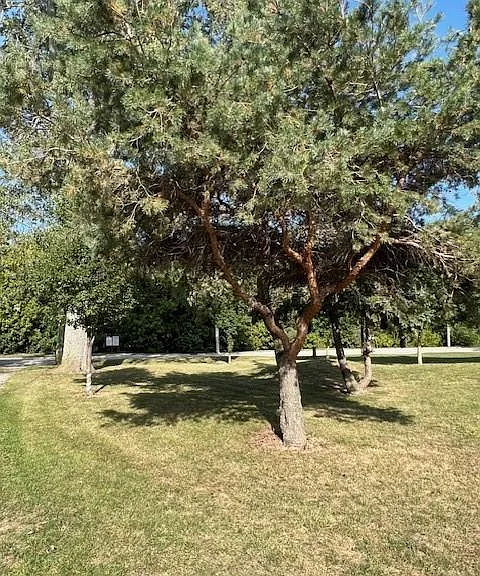 394 Robson Rd — Photo 28