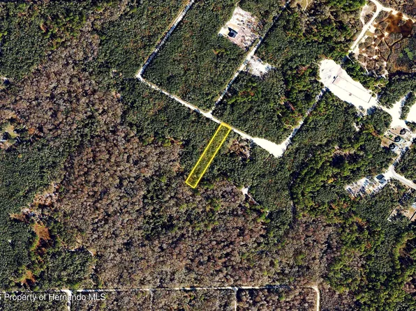 0 Medicine Stone Dr, Webster, FL 33597