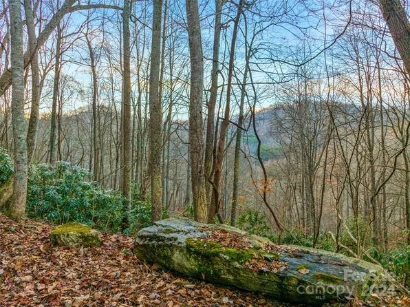 370 Cabin Creek Trl, Mars Hill, NC 28754