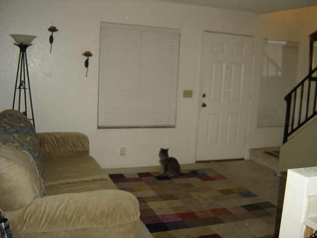 1st image of 8625 N Belleview Place #1095