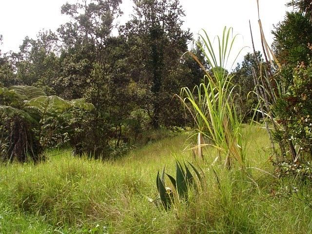2nd image of Haunani Rd Lot C