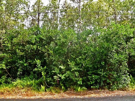1st image of 30th Ave Lot 428