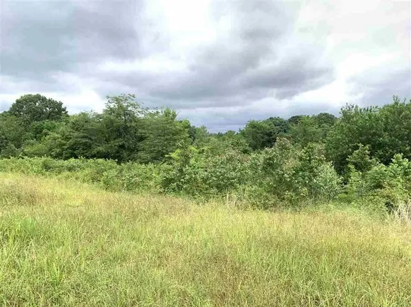 120 Rebel Cv, Clifton, TN 38425