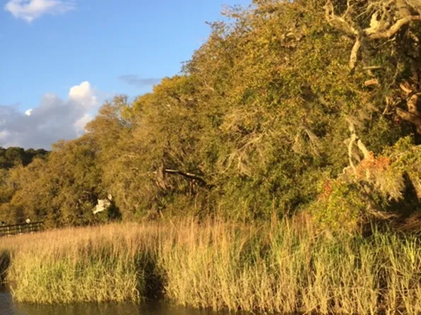 Foredeck Ln, Edisto Island, SC 29438