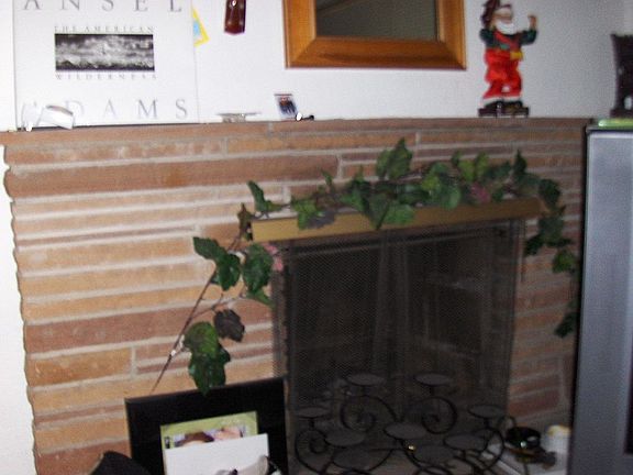 Fireplace in the great room