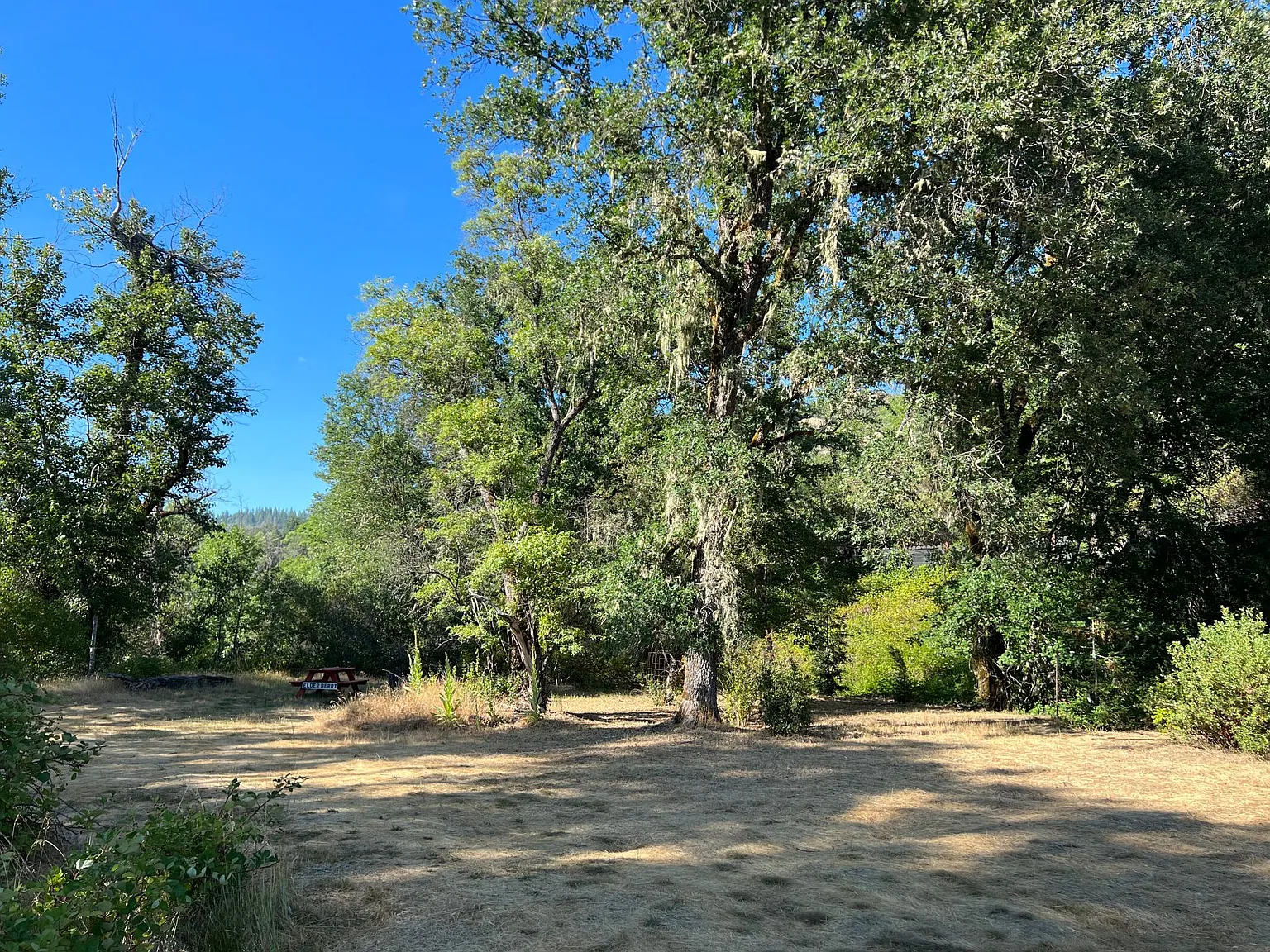 4 bed, 2500 sqft, $3,200 — Photo 3