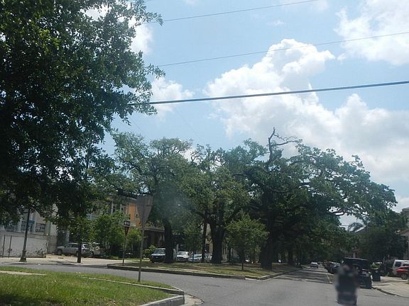 5th image of 1504 Esplanade Ave