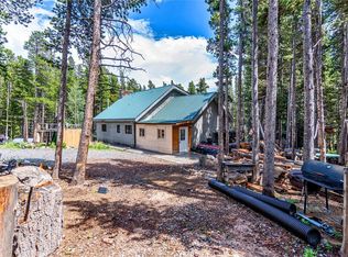 345 Lower Forest Rd, Idaho Springs, CO 80452