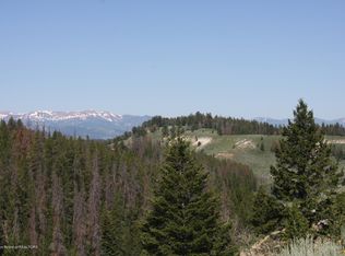 0 Deer Haven Dr, Bondurant, WY 82922