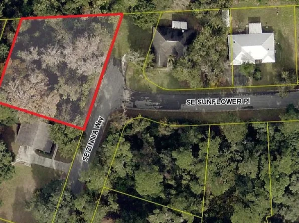 Tbd Se Zinnia Way, Lake City, FL 32025