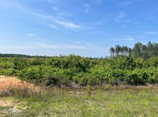 0 Holmesville Rd, Baxley, GA 31513