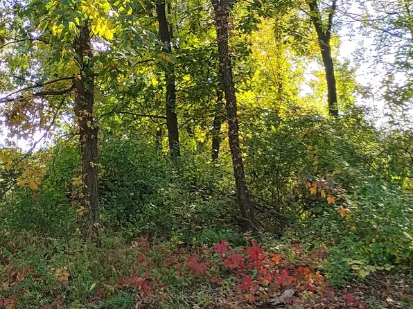 0 Middle Rd #V/l, Highland, MI 48357