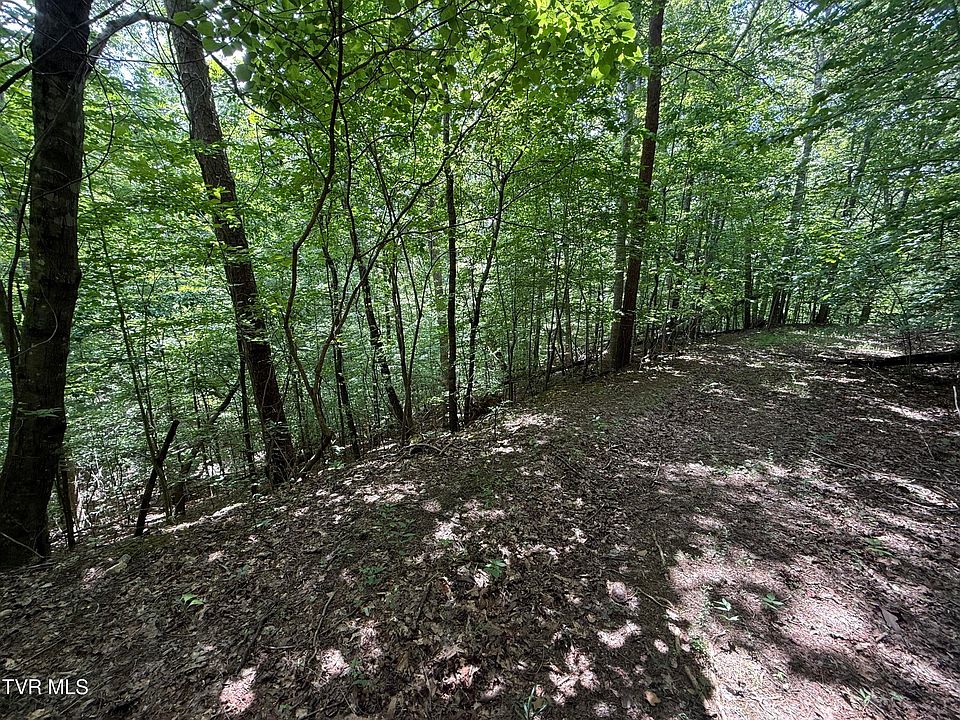 1st image of Mossy Hollow Rd