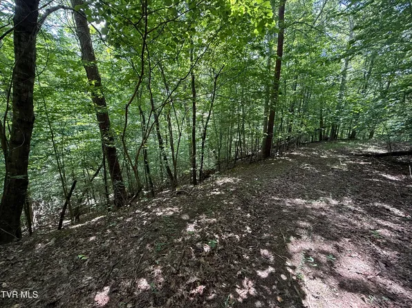 Mossy Hollow Rd, White Pine, TN 37890