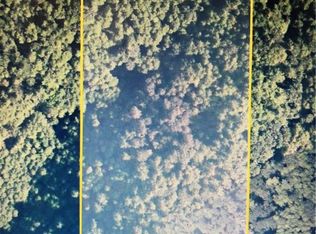 215 Williams Creek Rd, Oakville, WA 98568