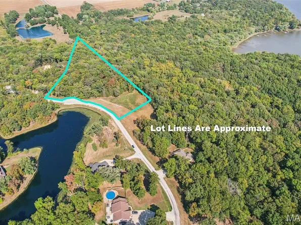 101 Weeks Ln, Litchfield, IL 62056