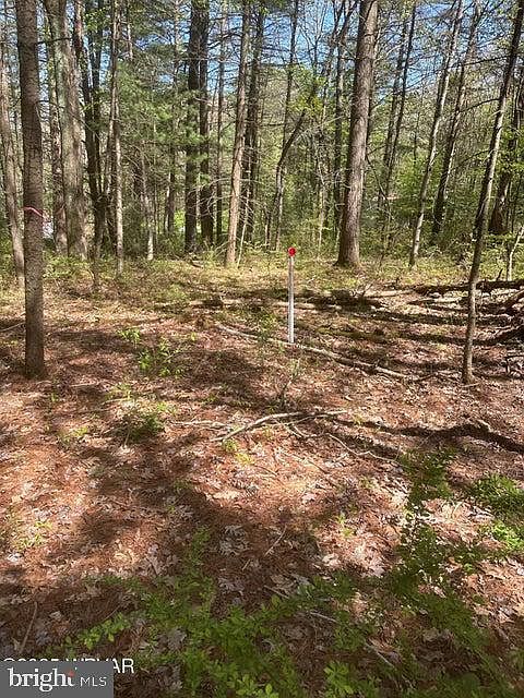 2nd image of PARCEL-110A 4th Gap Rd