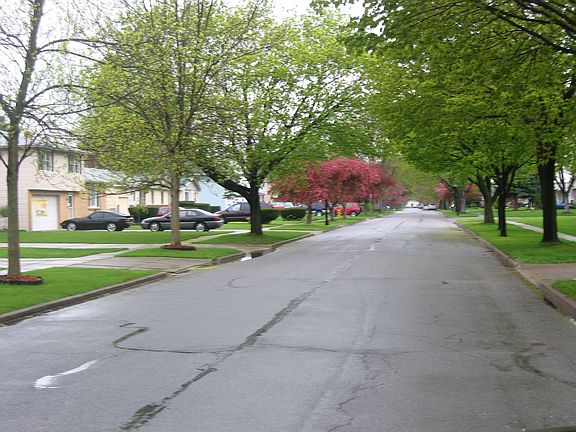 Bucyrus Drive