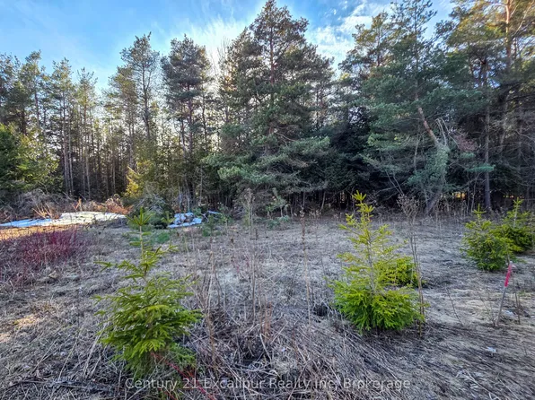 6382 5th Line, Centre Wellington, ON N1M 2W5