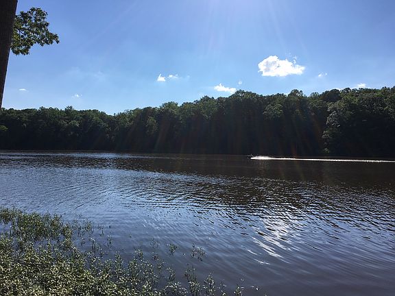 Fountainhead Park View