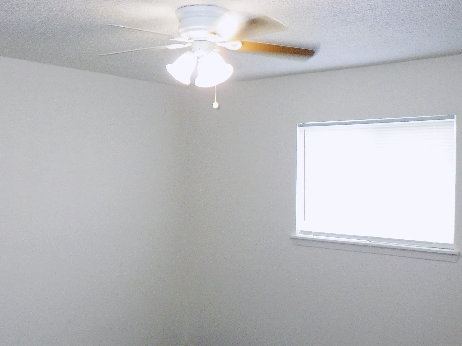 2 bed, 800 sqft, $895 — Photo 2