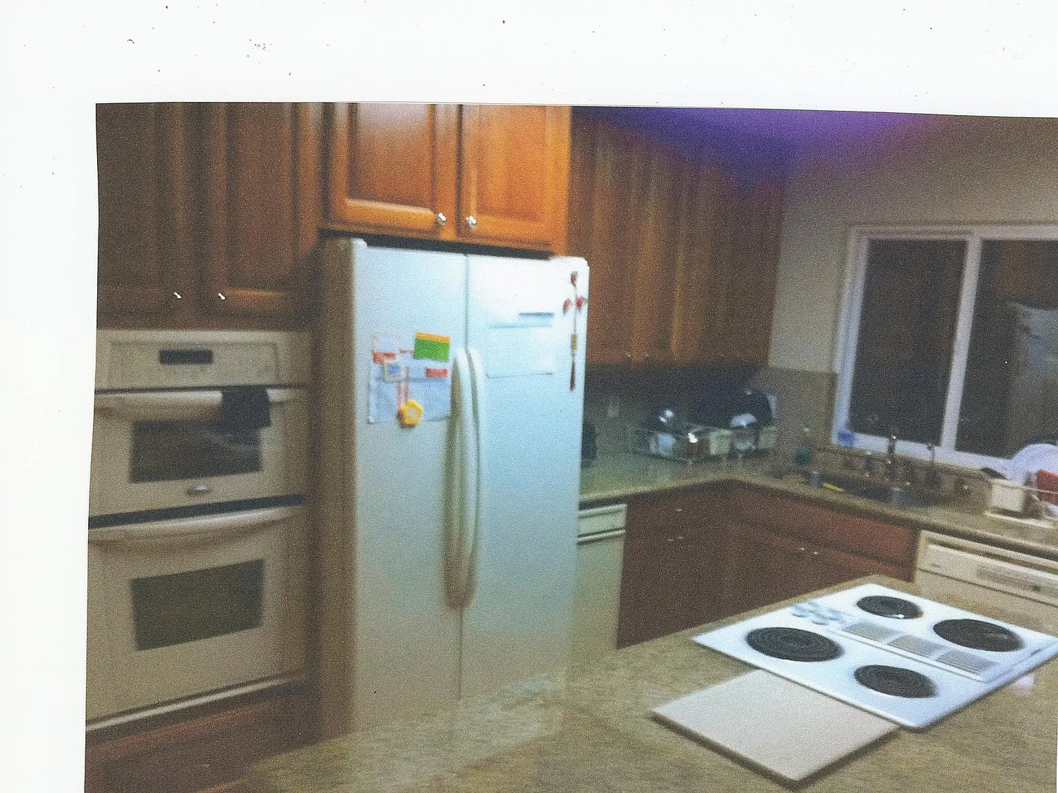 944 Erica Dr — Photo 4