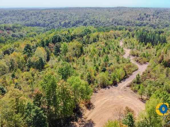 Les Ferrell Rd, Stewart, TN 37175