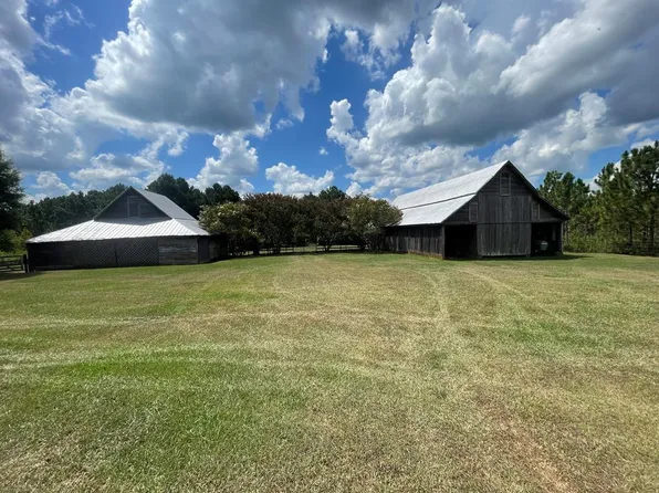 1850 State Highway 10, Brundidge, AL 36010