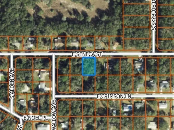 6766 E Seneca St Lot 3, Inverness, FL 34452